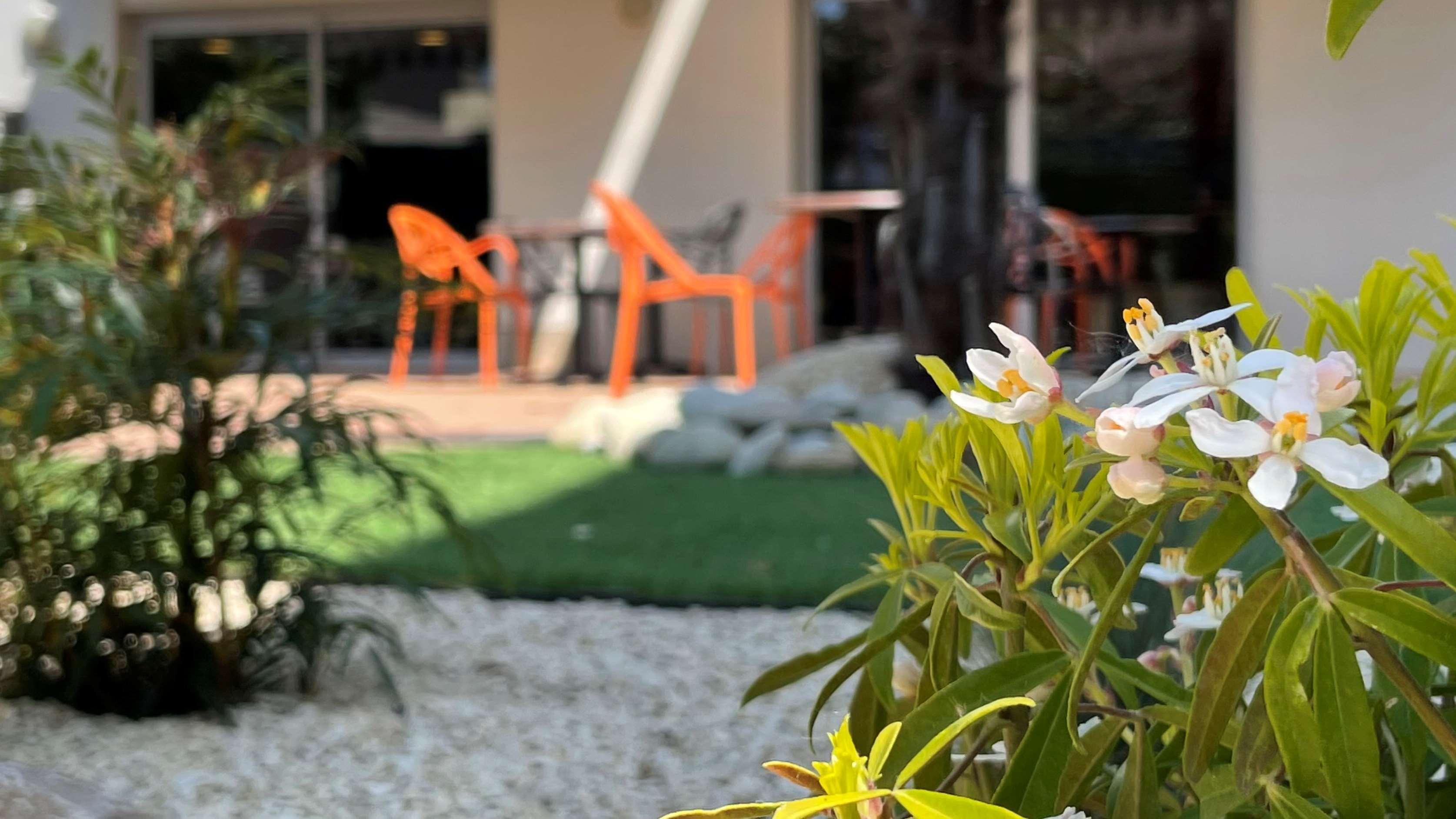 Hotel Campanile Albi Centre Zewnętrze zdjęcie